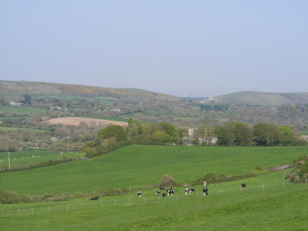 Bradle Farmhouse Corfe Castle Esterno foto
